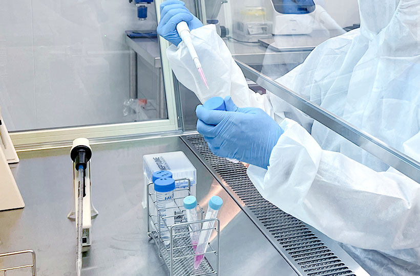 幹細胞培養のイメージ