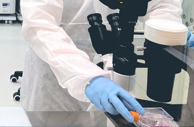 細胞培養のイメージ