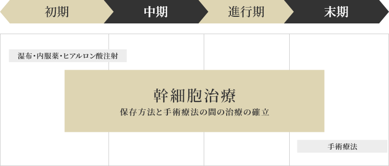 ひざ関節症治療スケジュール